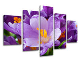 5-delna stenska slika FLOWERS XOBKV137E50